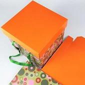 картинка Подарочная коробка "Круги", 21*21*22см. 