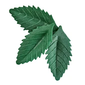 картинка Вафельные листья "Лист розы", тёмн.зеленый, 25шт. 
