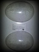 картинка Форма для отливки шоколадных фигурок - "Гладкое яйцо" (SM 3000) 