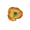 картинка Цветы из мастики - "Цветок", Чайный (11926*M/p) 