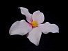 картинка Цветы из мастики - "Цветок лилии", Розовый (11932*B/p) 