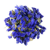 картинка Цветы незабудки, 20гр 