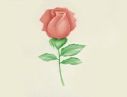 Трафарет для аэрографа - "Роза" (40-WM028) 