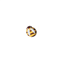 картинка Украшение из темной глазури, "Пчела", желтый, 216шт. 