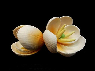 картинка Цветы из мастики - "Бутоны тюльпана", Чайные, 2шт. (11927*M/p) 