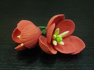 картинка Цветы из мастики - "Бутоны тюльпана", Красные, 2шт. (11927*D/p) 