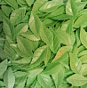 картинка Вафельный листья - "Лист розы", Зеленый, 25шт. 