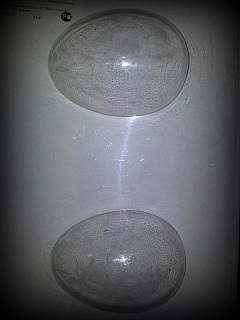 картинка Форма для отливки шоколадных фигурок - "Яйцо", 110*80мм. (SM 2000) 