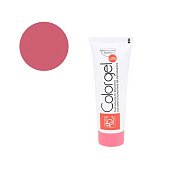 Краситель гелевый "Colorgel" Клубничный, 100гр. 