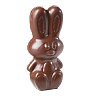 картинка Поликарбонатная форма "Chocolate World" - Кролик 
