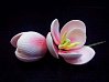 картинка Цветы из мастики - "Бутоны тюльпана", Розовые, 2шт. (11927*B/p) 