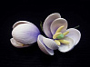 картинка Цветы из мастики - "Бутоны тюльпана", Лиловые, 2шт. (11927*V/p) 