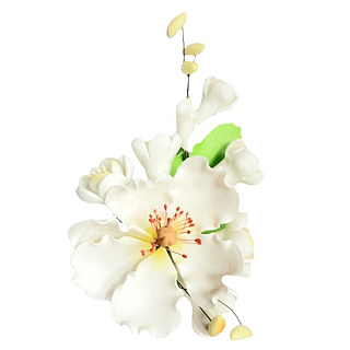 картинка Цветы из мастики - "Яблоневый цвет", Белый (11985i/p) 